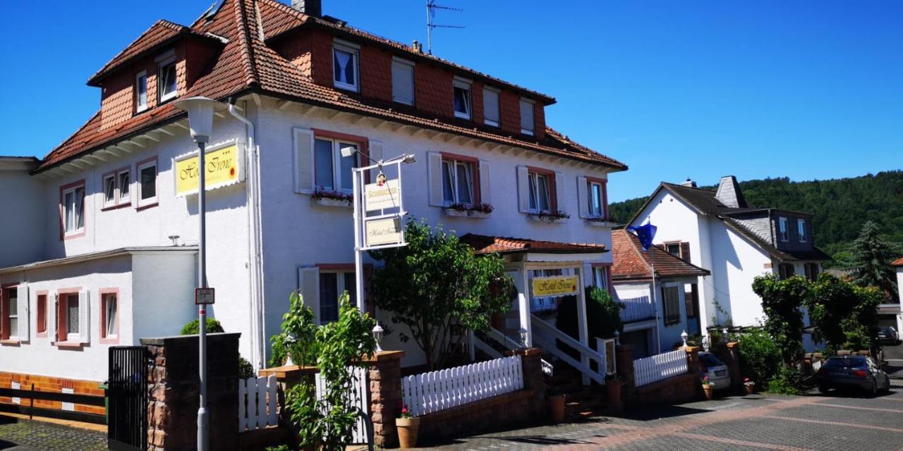 באד קונינג Hotel Irene מראה חיצוני תמונה